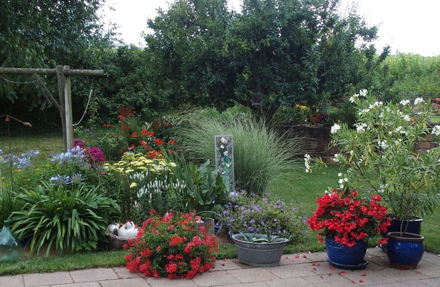 Bed and breakfast in Chatenois - center alsace