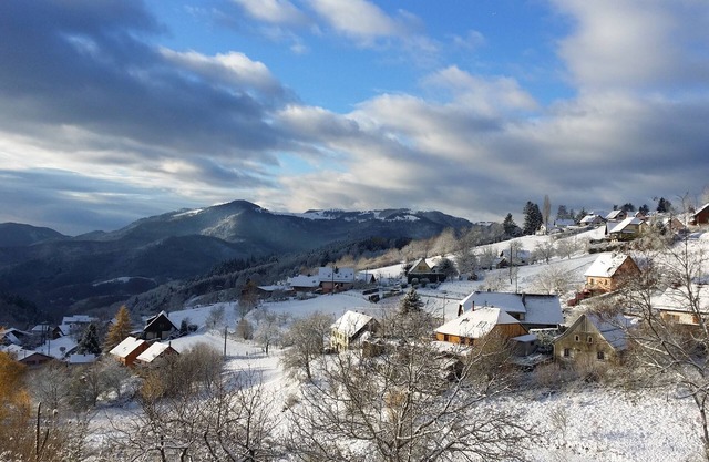 Bed and breakfast Les Lupins