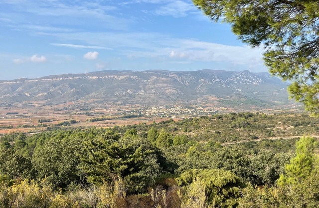 Bed and breakfast : Les maisons de Gaïa
