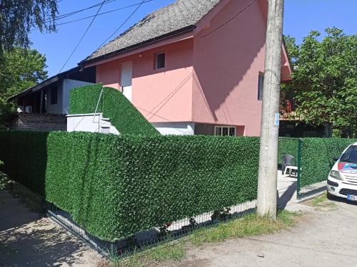 Beograd Oaza, Palilula