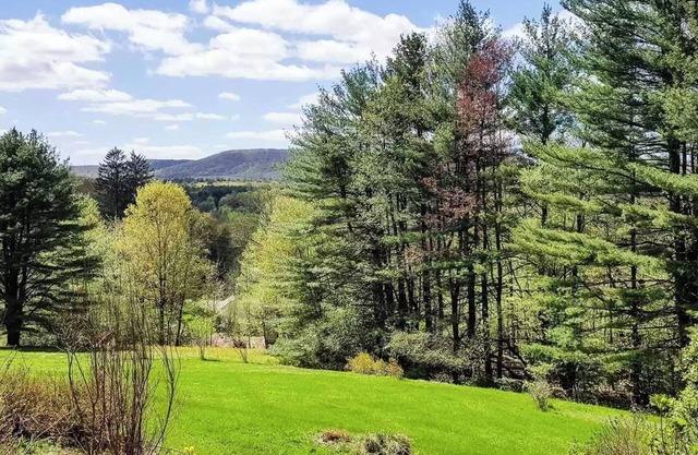 Berkshire stunning MTN View, 4BR. Min. to Jimney Pk and Williams College AC/WIFI