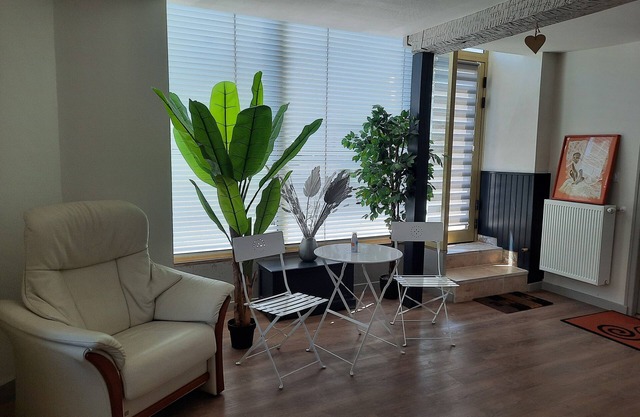 Between CHAMBORD and BLOIS Spacious 125m2 apartment