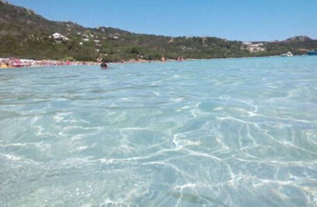 BETWEEN PORTO ROTONDO GOLFO ARANCI APARTMENT WITH SEA FRONT TERRACE IN MARINELLA