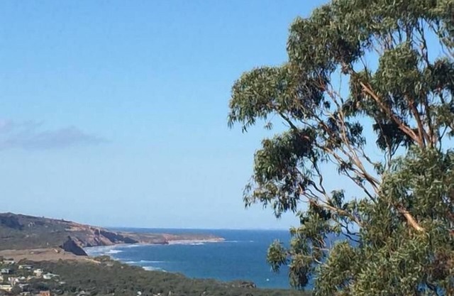 Big views over Anglesea from the balcony - pet friendly