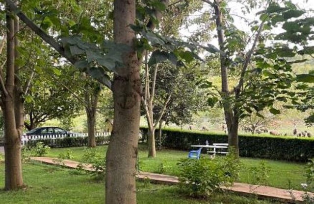 Biona Farm : Basic Triple Roomn