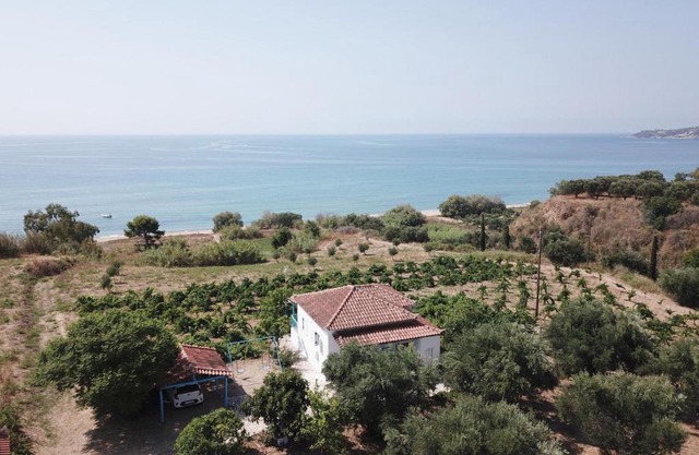 BIZOS Beach