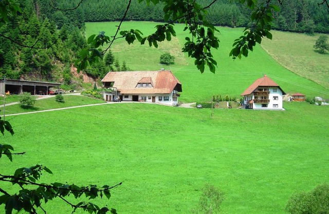 Black Forest farmhouse in charming location