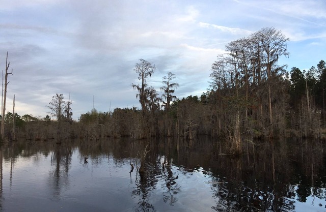 Blackshear Cabin on the Pond