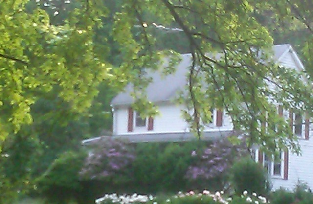 Blue Heron Wildlife Sanctuary W/Cabin