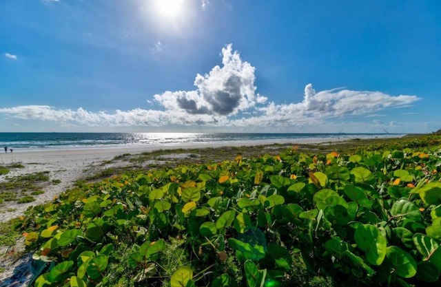 Blue Skies Oceanfront 2 bedroom townhouse