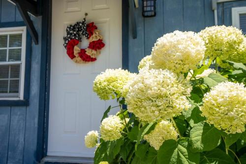 BnBs Dog Friendly Cottage