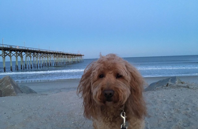 Bob's Island retreat