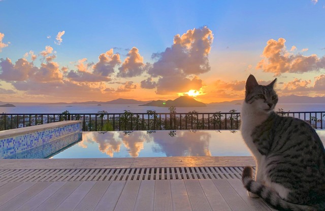 Bodrum - 5 bedrooms “Sunset villa”, with infinity heated swimming pool