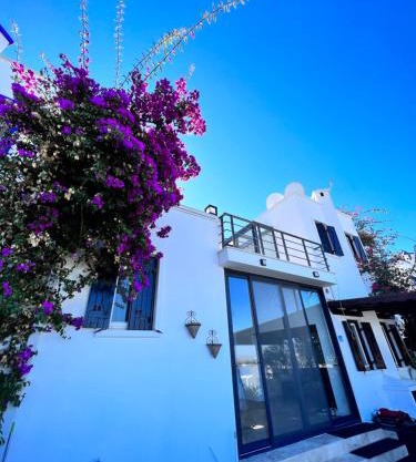 Bodrum Yalıkavak Villa