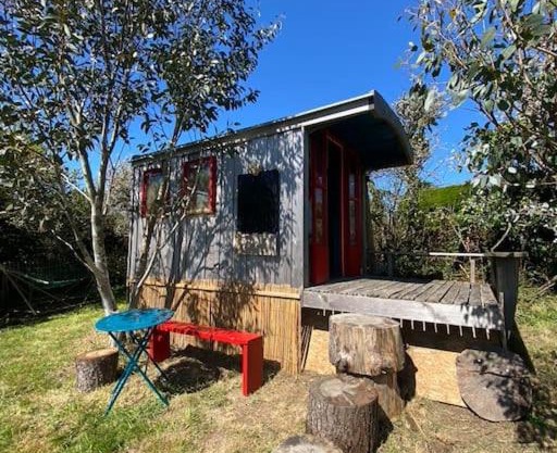 Bohémienne regarde la mer.