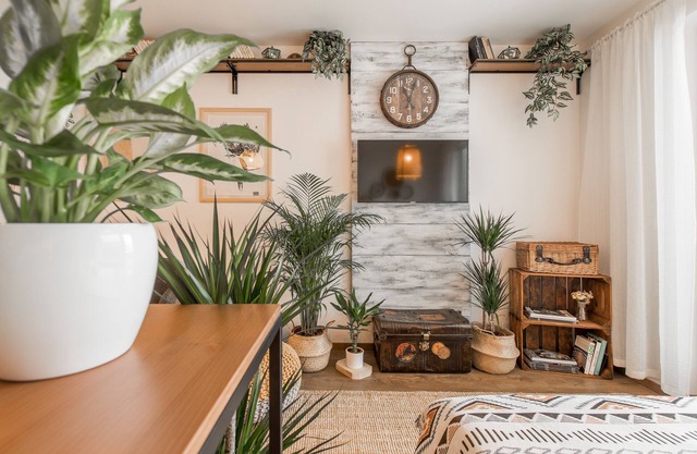 🌣 Bohemian Oasis in Old Town of Košice ༄