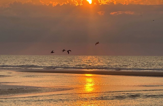 Book Your Last Minute Getaway. Beautiful 2 Story Townhome. Half Block From Beach