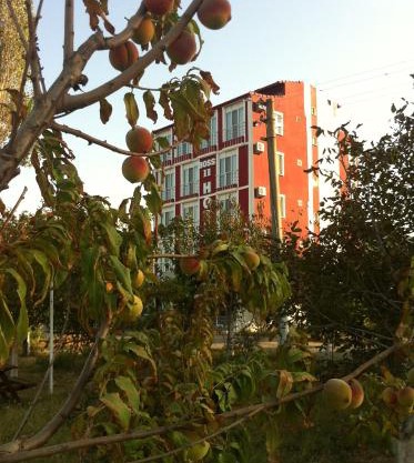 Boss 2 Hotel