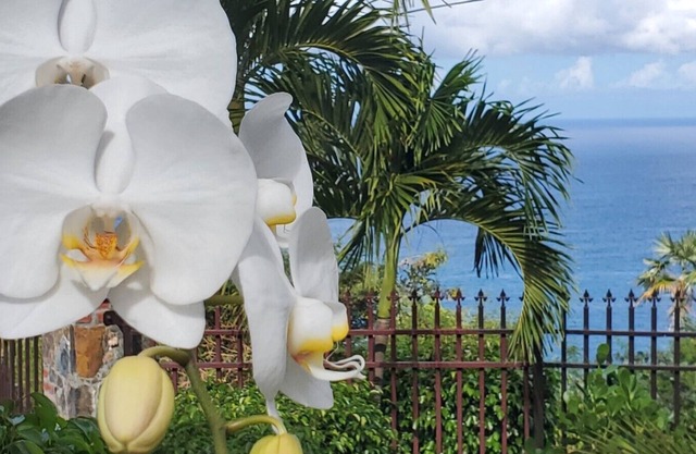 Breathtaking Island Views, Excellent Proximity to Major Beaches and More