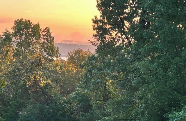 Breathtaking lake view on Lake Norfork. “804 HUT”- the reel escape!