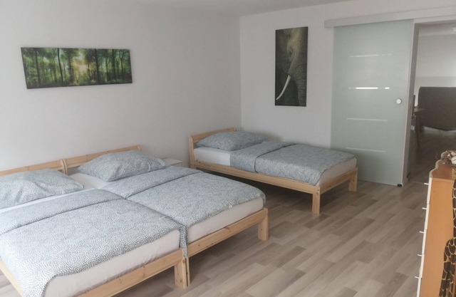 Bright 2 room apartment 25min to Europapark