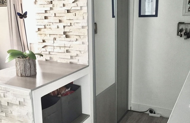 Bright 45m2 walk-through apartment