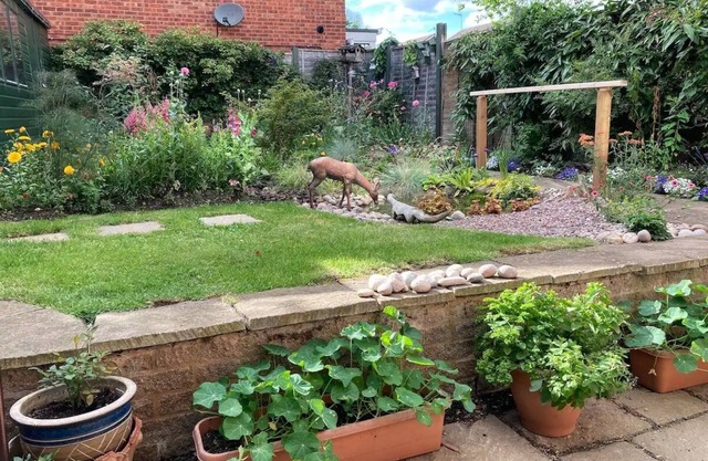 Bright an airy with a luxury Super King bed and a beautiful cottage garden.