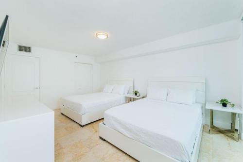 Bright and Cozy 2 Bedroom