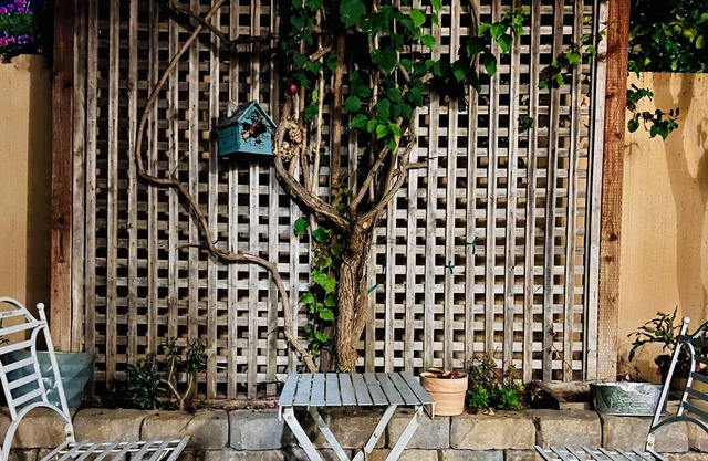 Bright and spacious 4 bedroom house next to CA24