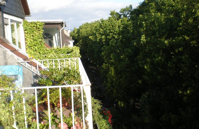 bright apartment in the lively, cultural city of Mainz