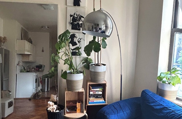 BRIGHT, BOHO ARTIST 2 BED LOCATED 1 BLOCK FROM PROSPECT PARK & EXPRESS TRAIN