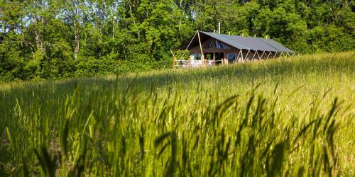 Brocklands Farm Glamping