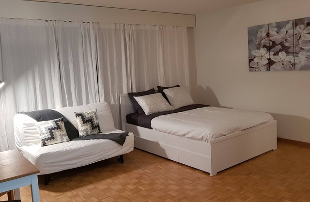 Budget Friendly Studio Type Apt in central Luzern