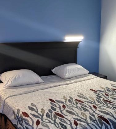 Budget Inn Alexandria