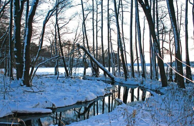 Bungalow at the Groß Labenzer See, Klein Labenz