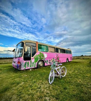 Bus Casa en observatorio de aves