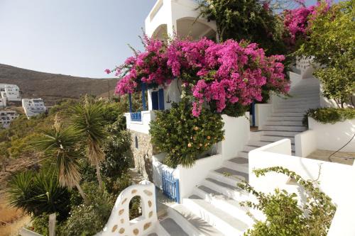 Butterfly View Suites