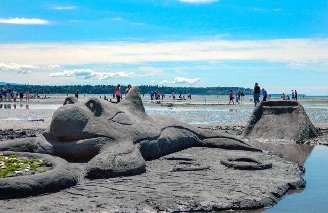 BWV C-1: Semiahmoo view 2 bedroom 2 bath