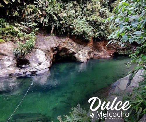 Cañón Dulce Melcocho