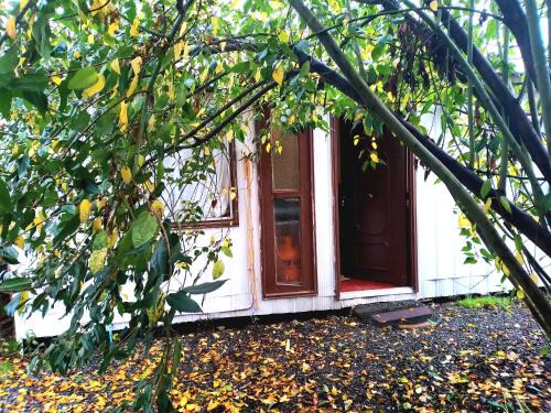 Cabaña Económica Low Cost Independiente Veinte mil x persona Veintiocho mil x dos Valor total por noche Bienvenidos