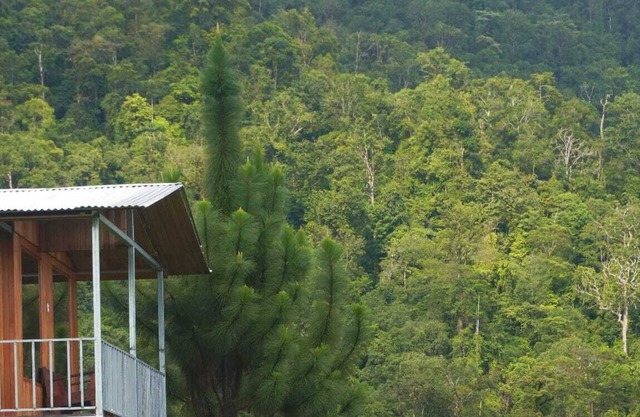 Cabaña para dos con una increíble vista al bosque de Platanillo