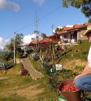 Cabañas Cañon Del Chicamocha
