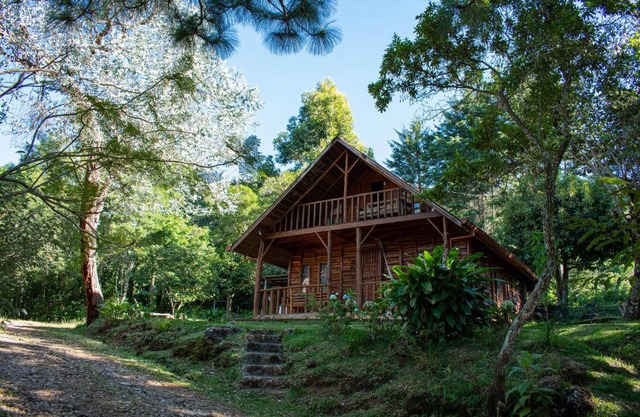 Cabañas El Coyote
