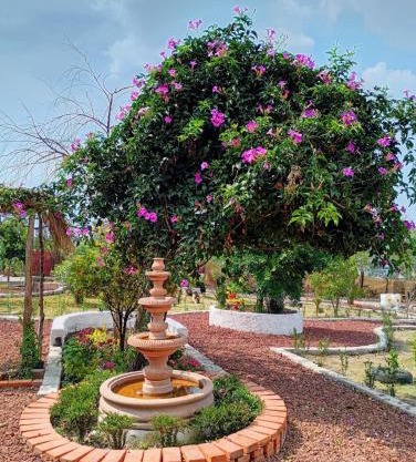 cabañas en arcos del sitio