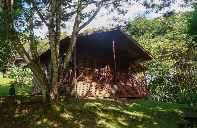 Cabañas La Naciente