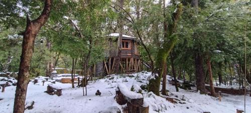 Cabañita Del Árbol