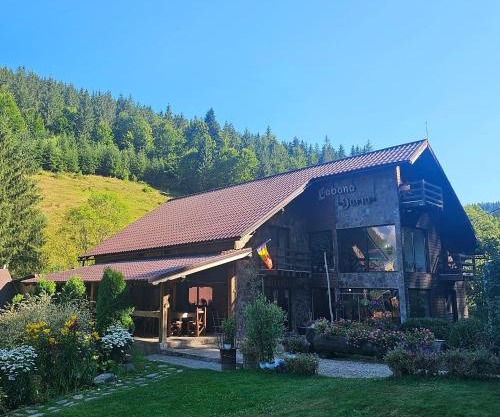 Cabana Daria Arieseni