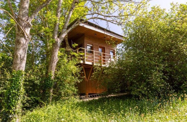 Cabane perchee