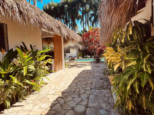 Cabarete Breeze