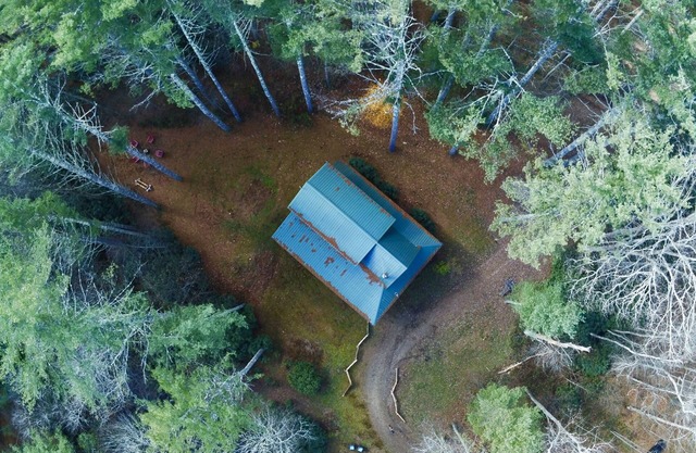 Cabin Home with spectacular rushing stream!